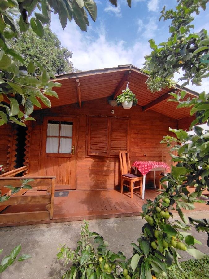 Harmonia-Lak Vendeghaz Villa Praid Exteriör bild